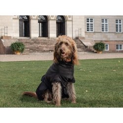 Siccaro Recovery Coat Antrasit L (50)